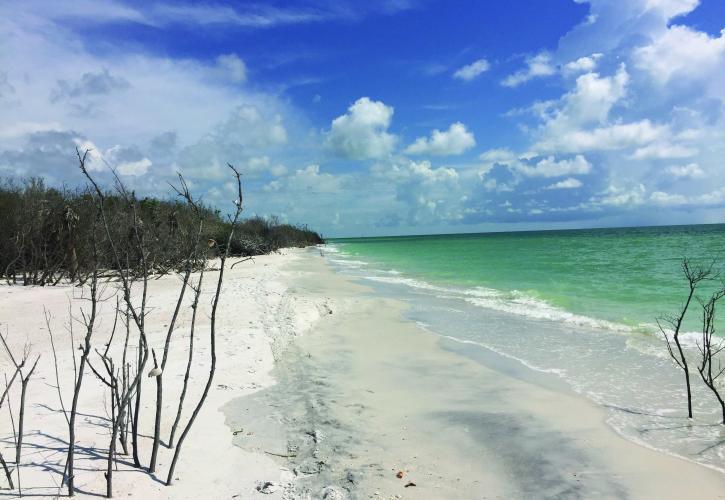 Caladesi Island State Park